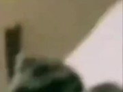 Terrific Tuesday - 'Make them wonder why you're still smiling' 7/16