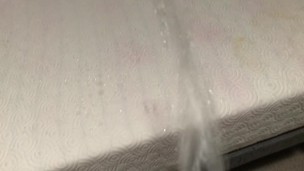 Pissing All Over My Bed, Carpet and Wall !!!