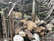 Gumawa muna ako ng pwesto bago mag KANTUTAN 15/16