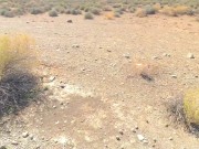 Sexcation Part 4 - Pissing next to the road and getting daddy to eat my pissed pussy clean 14/16