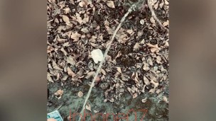 Real pee desperation, almost peed in my underwear