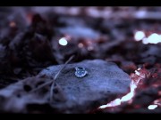 Girl Gets Lost in the Woods - Valentina Nappi Frozen in Time and Facefucked 5/16