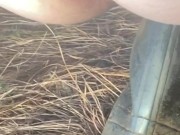 Watch My Asshole Twitch While I Pee Outdoors 8/16