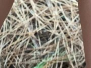 My Tiny Pussy Pees While a Monkey Watches 4/16