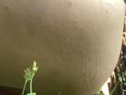 I Squat and Let It Flow All Over the Farm 4/16