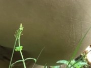 I Squat and Let It Flow All Over the Farm 6/16