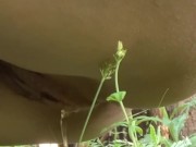 I Squat and Let It Flow All Over the Farm 9/16