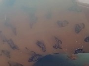 Pretty dress and tittie peep show 11/16