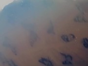 Pretty dress and tittie peep show 15/16