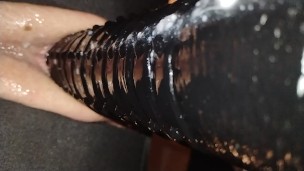 My fav dildo