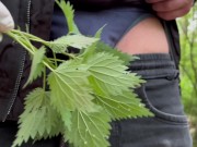 nettles on the penis - Screenshot 5 of 16 - Fetish