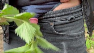 nettles on the penis