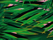 Outdoor Microbikini Try On - Hannahjames710 1/16