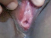 playing my pussycat 11/16