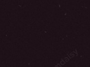 Feral Gooning E girl cums using phone 12/16