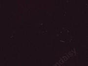 Feral Gooning E girl cums using phone 14/16