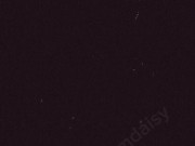 Feral Gooning E girl cums using phone 6/16