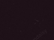 Feral Gooning E girl cums using phone 8/16