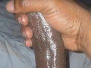 Stl bbc