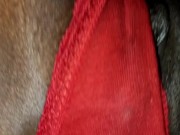 Eating Her QUEEFING PUSSY Under the Covers and Licking Her Dirty Ass and FEET 12/16