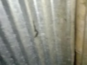 I Fucked My Girlfriend in the Bathroom 1/16