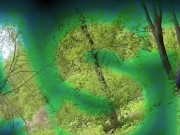 ТГК  ANA_STEIK 2/16