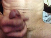 Hairy barracuda 1/16