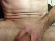 Hairy barracuda 11/16