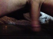 Hairy barracuda 6/16