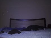 Instead of playing video games I played with myself good 2/16