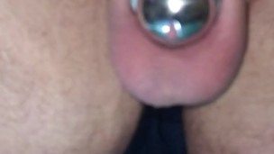 My new cage