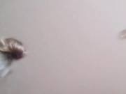 Жесткий анал 16/16