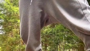 Straight Polish - German Scally Alpha Master Cumshot jerking public socks smelly stinky sneakers