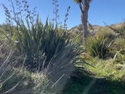 Public NZ beachwalk JOI with edging and ruined orgasm 11/16