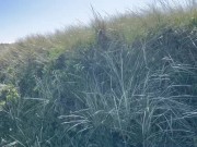 Public NZ beachwalk JOI with edging and ruined orgasm 8/16