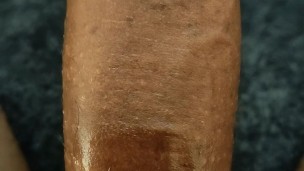 Slow Short from 2023