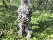 SHE gives me a BLOWJOB with BLOWDROPS in the FOREST 💧🍆 – and then we get CAUGHT 😳🌲 5/16