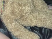 UR SLUTTY ELITE GIRL WANTS BBC PENETRATE HER TEEN TIGHT PUSSY&CREAMPIE-ARABIAN SNOWWHITE MASTURBATE 9/16