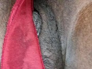 My PANTY STINKS after 3 days - He Sniffed My DIRTY PUSSY and ASS and Came Jerking off 14/16