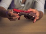 Así se ve un Realmente un Pene por dentro: Anatomía de un Gran miembro