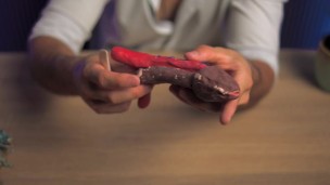 Así se ve un Realmente un Pene por dentro: Anatomía de un Gran miembro