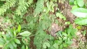 NANUOD HABANG NAGJAJAKOL AKO SUMABAY SYA