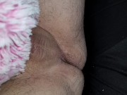 Teddy bear pussy breeding 16/16