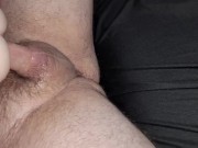 Teddy bear pussy breeding 3/16