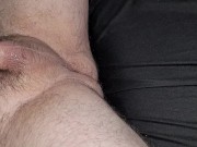 Teddy bear pussy breeding 4/16