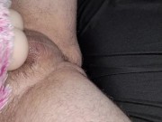 Teddy bear pussy breeding 6/16