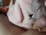 nanerottola lo succhia come un cricetrino 1/16