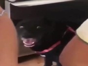 dayz juegazon con sus bug y todo 10/16