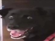 dayz juegazon con sus bug y todo 11/16