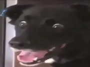 dayz juegazon con sus bug y todo 12/16